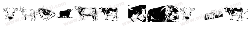 Bovine MVB RegularVe字体转换